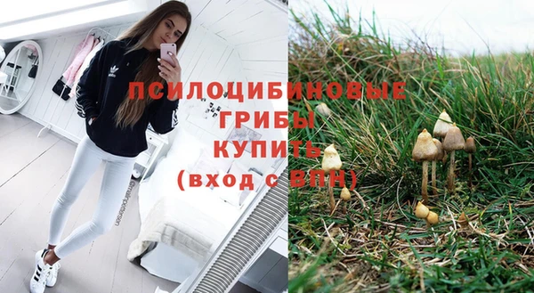 амф Арсеньев
