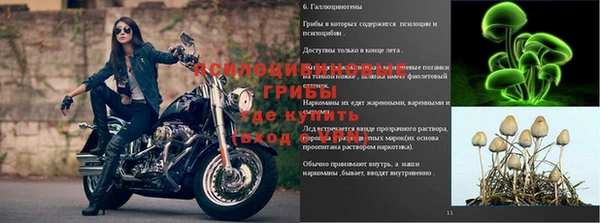 а пвп мука Аркадак