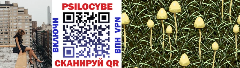 Псилоцибиновые грибы GOLDEN TEACHER  Купить закладки  Электрогорск 